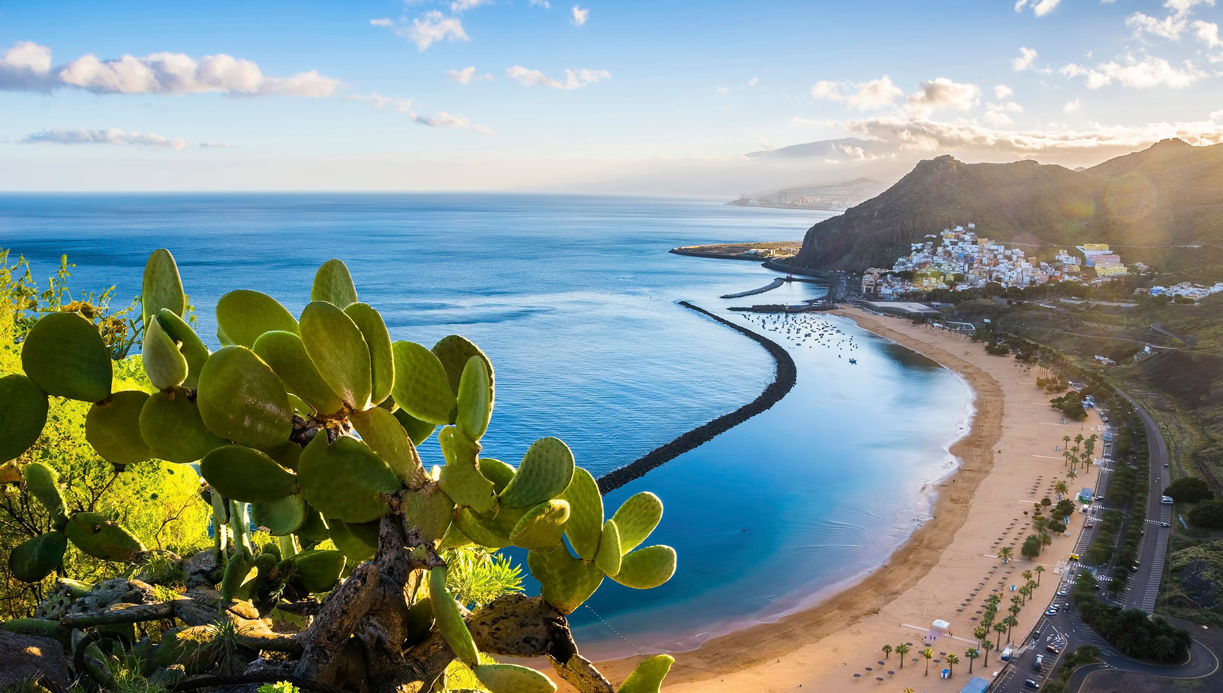 Canary Islands & Madeira | MSC Cruises