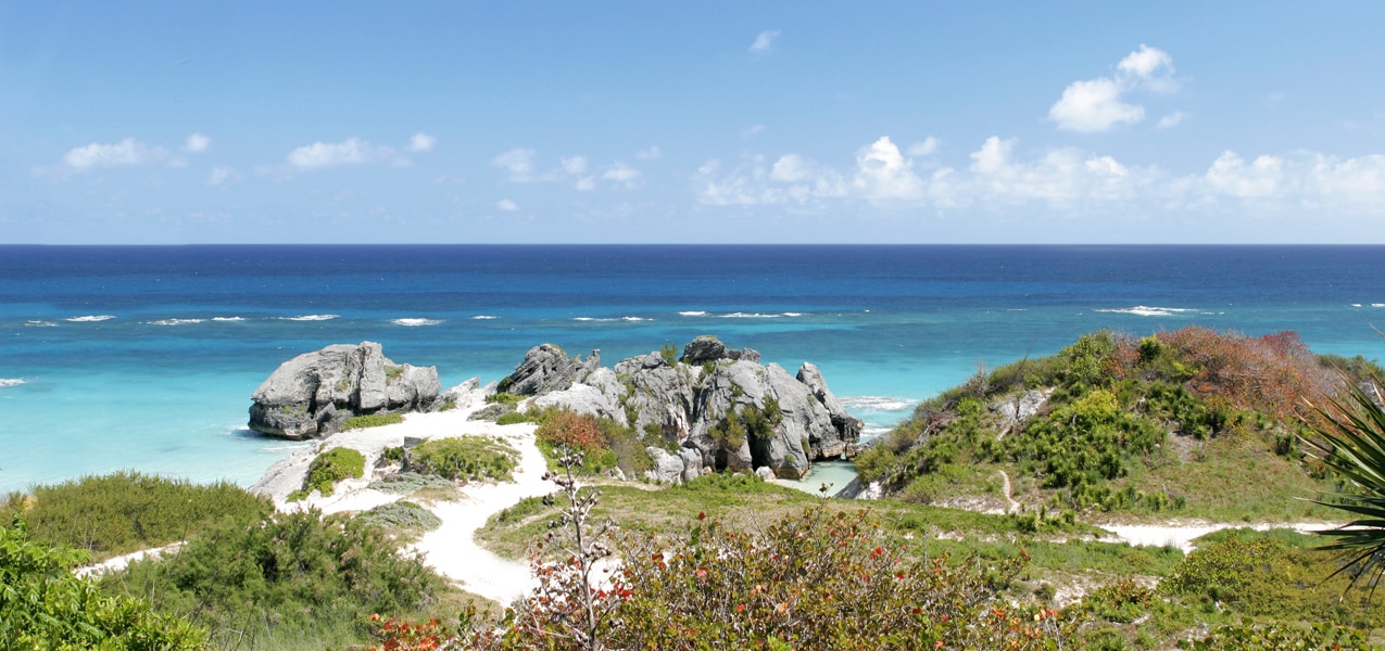 Rocky coastline with turquoise waters and lush greenery under a clear blue sky | MSC Cruises Rocky coastline with turquoise waters and lush greenery under a clear blue sky | MSC Cruises