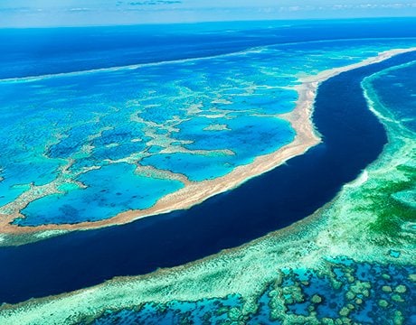 MSC World Cruise 2026 | MSC Cruises