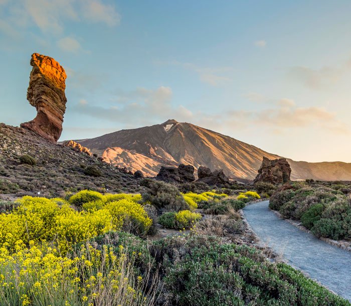 Santa Cruz de Tenerife | MSC Cruises