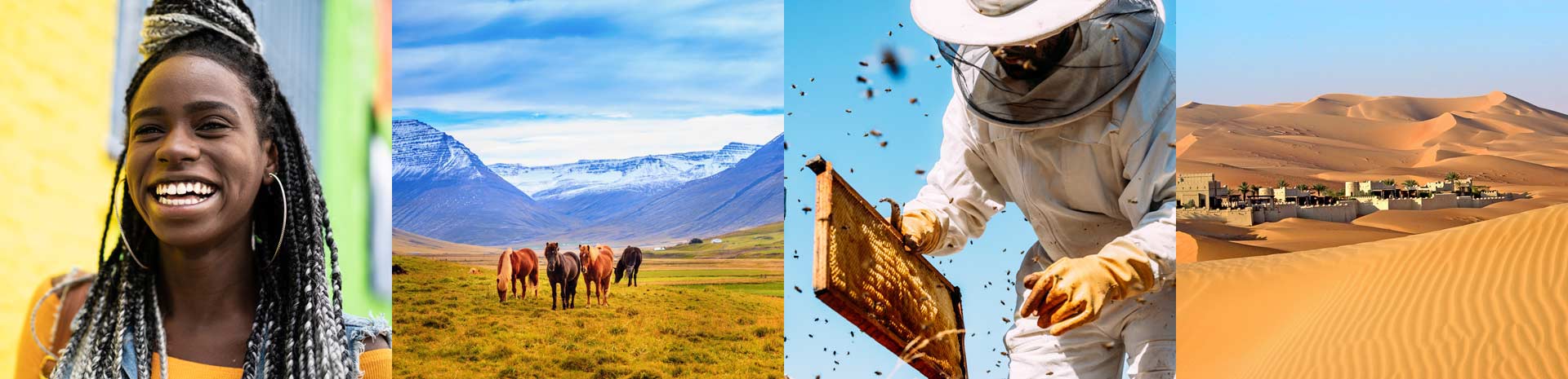 Icelandic horses in a green valley with snow-capped mountains, a beekeeper at work, and desert dunes with an oasis village | MSC Cruises Icelandic horses in a green valley with snow-capped mountains, a beekeeper at work, and desert dunes with an oasis village | MSC Cruises