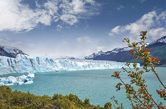 MSC World Cruise 2027 |MSC Cruises