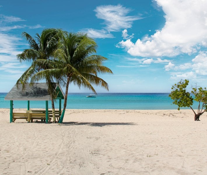 Cruises in the Caribbean| MSC Cruises Cruises in the Caribbean| MSC Cruises