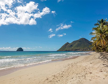 Cruises in the Caribbean and Antilles, Martinique, Fort de France | MSC Cruises