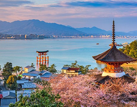 Cruises in Asia, Japan, Hiroshima, Miyajima Island | MSC Cruises